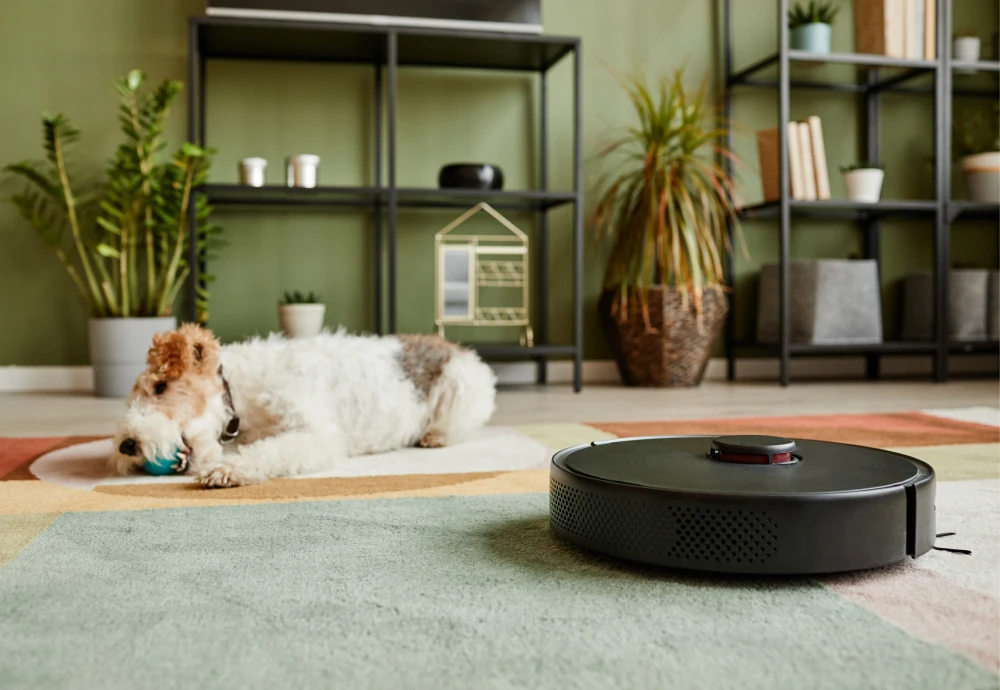 robot vacuum cleaner buying guide